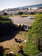 robbery IMGP5105.JPG